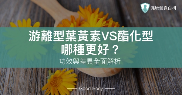 游離型葉黃素 VS 酯化型:哪種更好?游離型葉黃素功效全解析