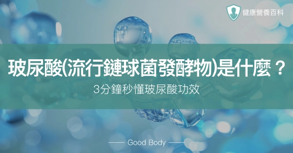 玻尿酸（流行鏈球菌發酵物）是什麼？3分鐘秒懂玻尿酸功效