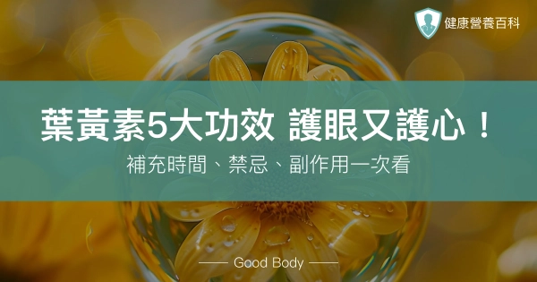 葉黃素5大功效:護眼又護心!補充時間、禁忌、副作用一次看