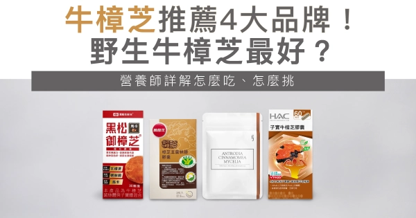 牛樟芝推薦4大品牌!野生牛樟芝最好?營養師詳解怎麼吃、怎麼挑