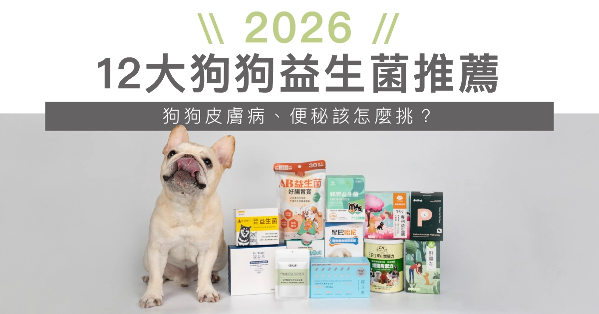 【2026最新】12大狗狗益生菌推薦！狗狗皮膚病、便秘該怎麼挑？