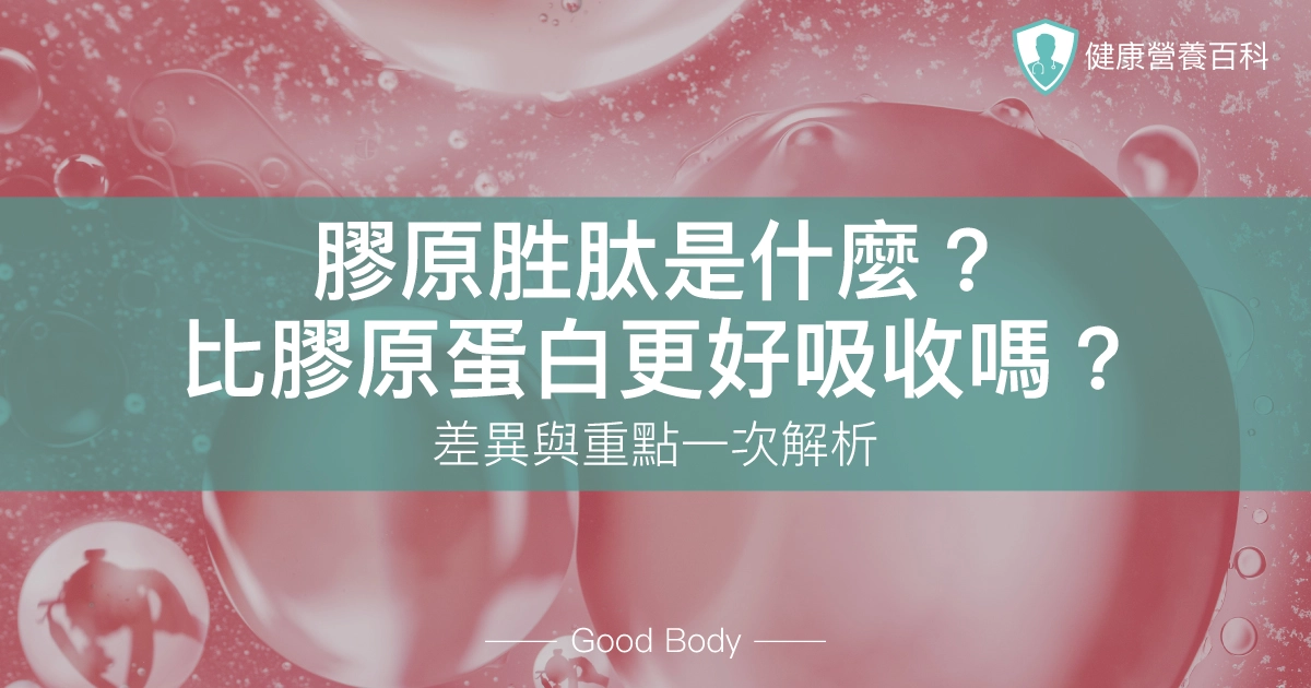 膠原胜肽是什麼？比膠原蛋白更好吸收嗎？差異與重點一次解析