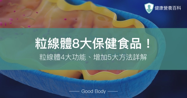 粒線體8大保健食品!營養師:粒線體4大功能、增加5大方法詳解