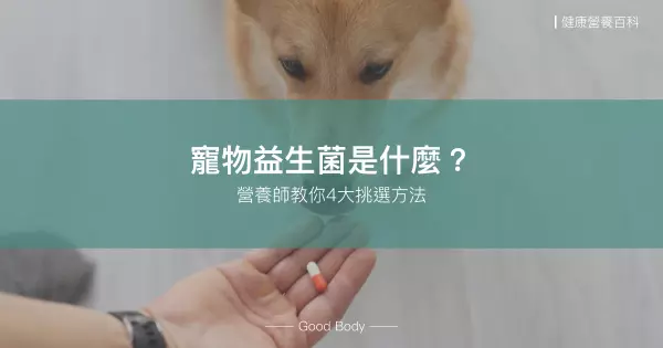 寵物益生菌是什麼?怎麼挑?營養師教你4大挑選方法