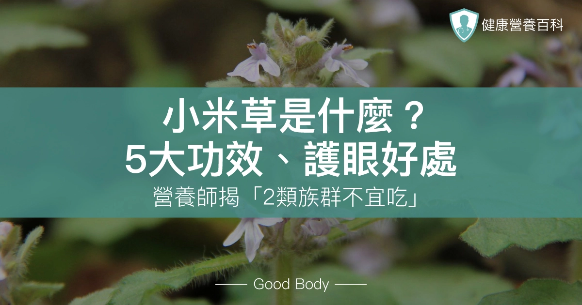小米草是什麼?5大功效、護眼好處,營養師揭「2類族群不宜吃」