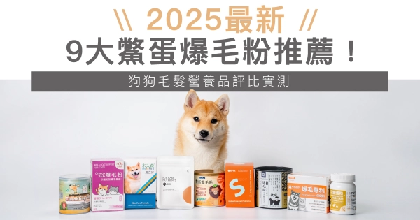 【2025最完整】9大鱉蛋爆毛粉推薦,狗狗毛髮營養品評比實測!