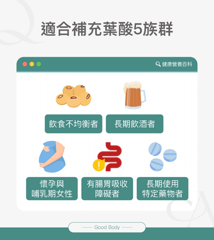 適合補充葉酸的5大族群,包括飲食不均衡者、長期飲酒者、懷孕與哺乳期女性、有腸胃吸收障礙者,以及長期使用特定藥物者