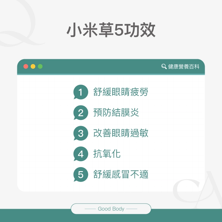 小米草5功效:舒緩眼睛疲勞、預防結膜炎、改善眼睛過敏、抗氧化、舒緩感冒不適。