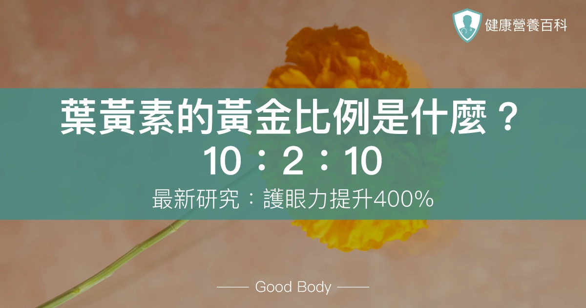 葉黃素的黃金比例是什麼?3色素10:2:10最新研究:護眼力提升400%