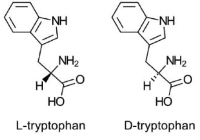 兩種色胺酸分為：L（左旋）、D（右旋）型態