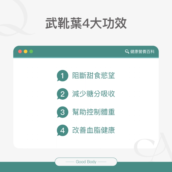 武靴葉4大功效:阻斷甜食慾望、減少糖分吸收、幫助控制體重、改善血脂健康。