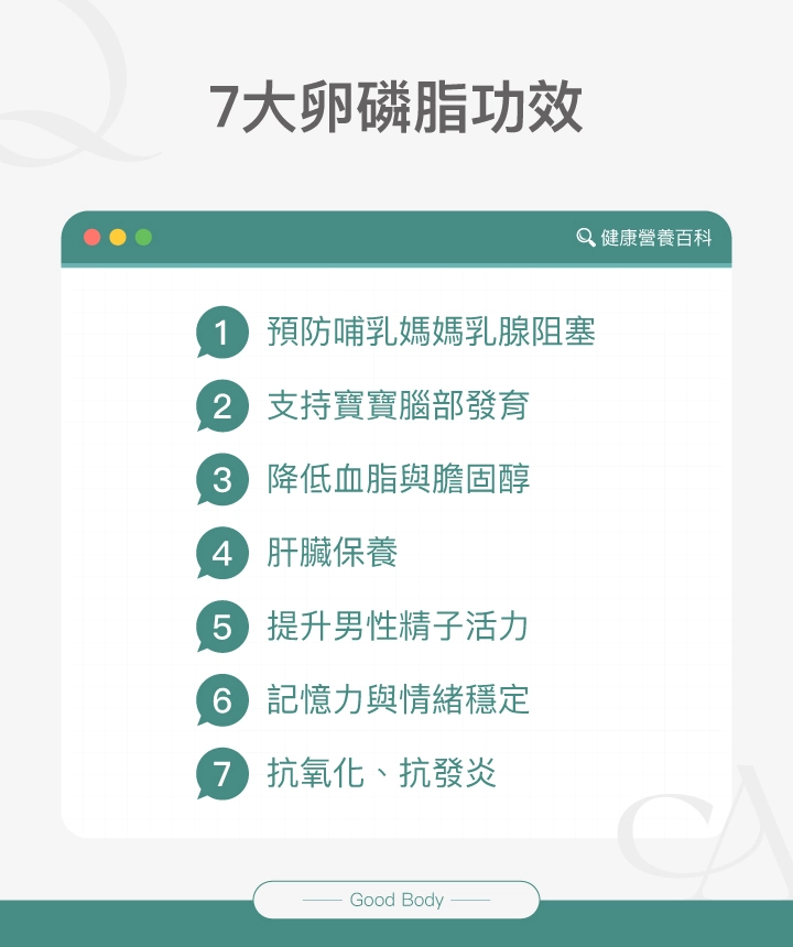 7大卵磷脂功效:預防哺乳媽媽乳腺阻塞、支持寶寶腦部發育、降低血脂與膽固醇、肝臟保養、提升男性精子活力、記憶力與情緒穩定、抗氧化、抗發炎