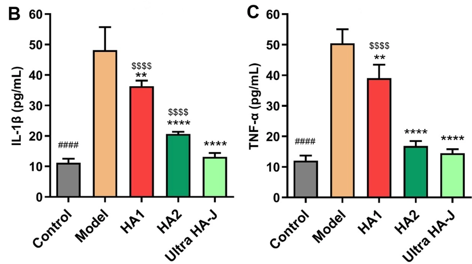 ▲實驗顯示,吃了玻尿酸以後,IL-1β、TNF-a等發炎指標下降,這對保護關節來說具有實質的意義。