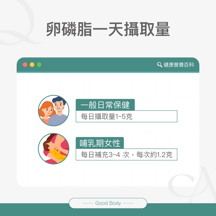 卵磷脂一天攝取量:一般日常保健每日攝取量1~5克;哺乳期女性每日補充3~4次,每次約1.2克