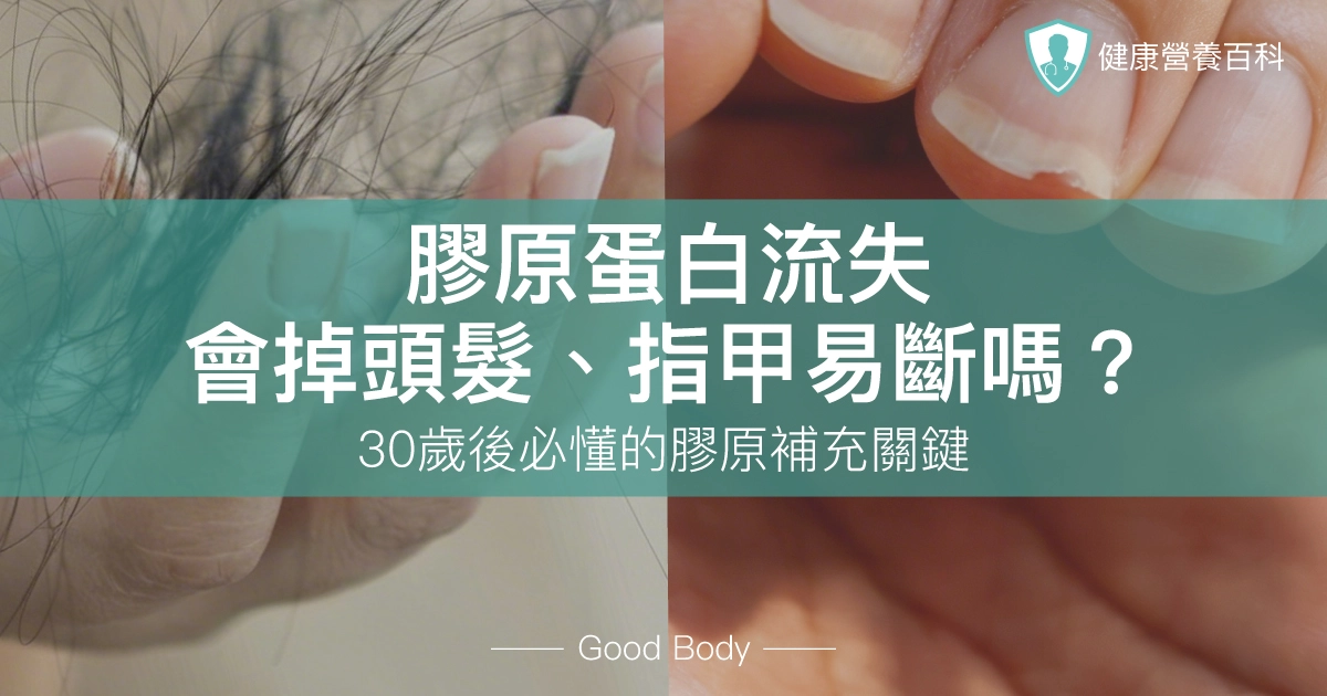 膠原蛋白流失會掉頭髮、指甲易斷嗎？30歲後必懂的膠原補充關鍵