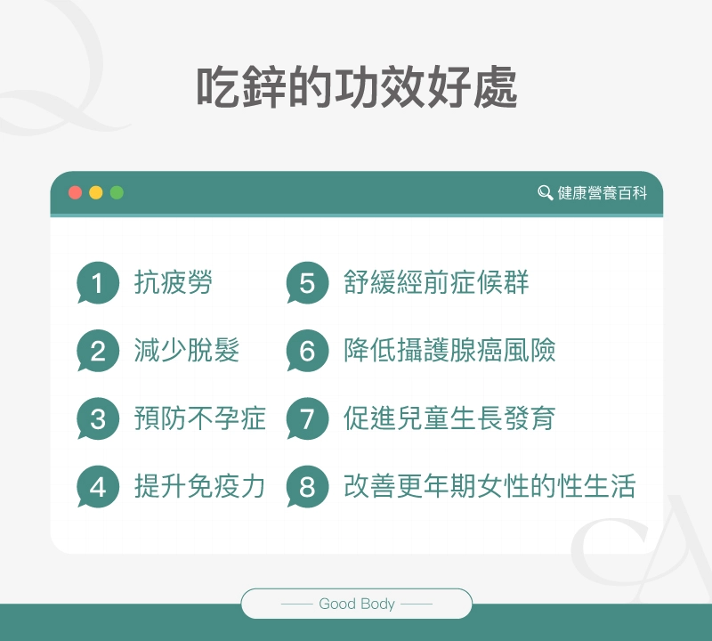 吃鋅的功效好處：抗疲勞、減少脫髮、預防不孕症、提升免疫力、舒緩經前症候群、降低攝護腺癌風險、促進兒童生長發育、改善更年期女性的性生活