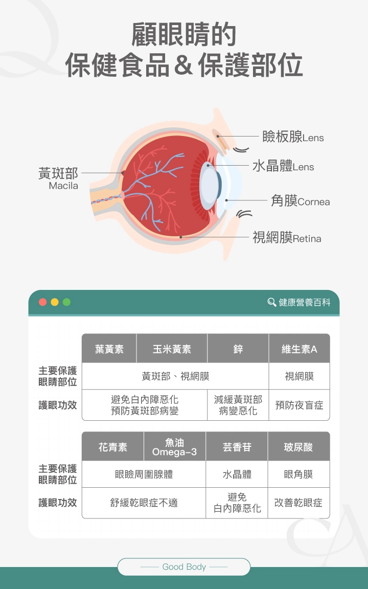 顧眼睛的保健食品＆保護部位