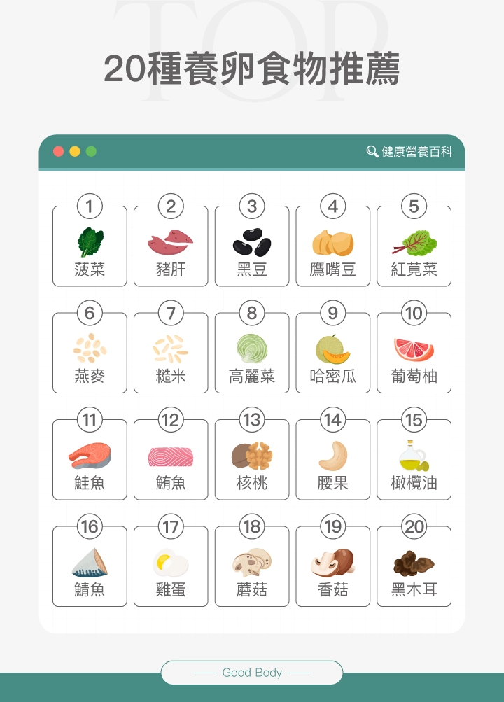 20種養卵食物推薦,包括:1. 菠菜、2. 豬肝、3. 黑豆、4. 鷹嘴豆、5. 紅莧菜、6. 燕麥、7. 糙米、8. 高麗菜、9. 哈密瓜、10. 葡萄柚、11. 鮭魚、12. 鯖魚、13. 核桃、14. 腰果、15. 橄欖油、16. 鯛魚、17. 雞蛋、18. 蓮藕、19. 香菇、20. 黑木耳。