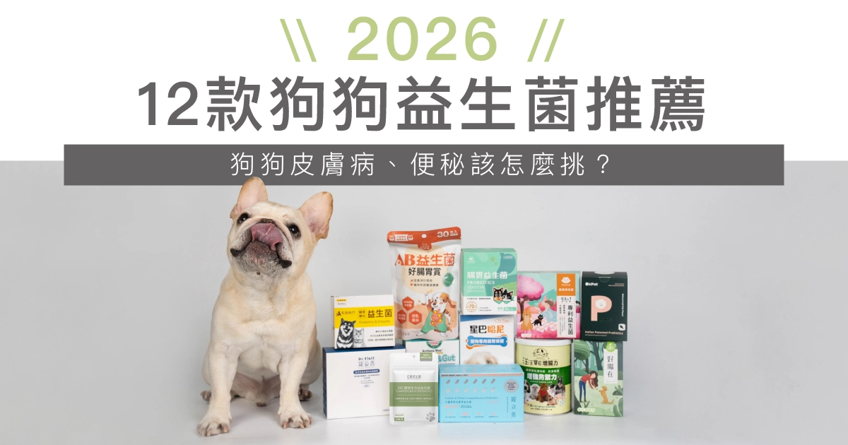 【2026最新】12款狗狗益生菌推薦！狗狗皮膚病、便秘該怎麼挑？