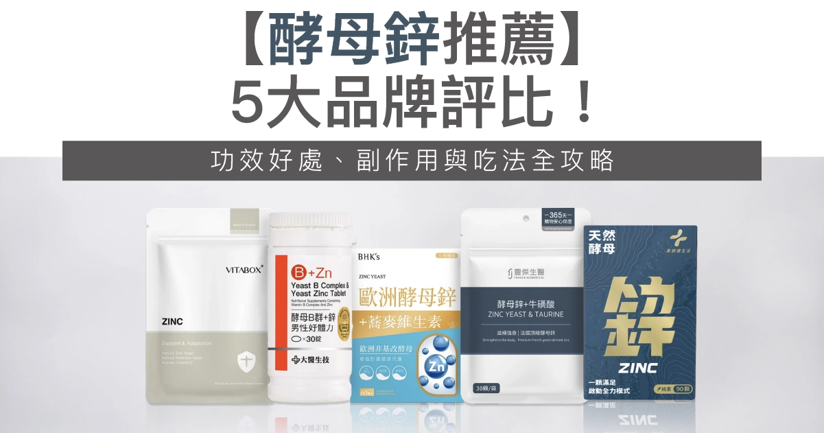 【2026酵母鋅推薦】5大品牌評比!功效好處、副作用與吃法全攻略
