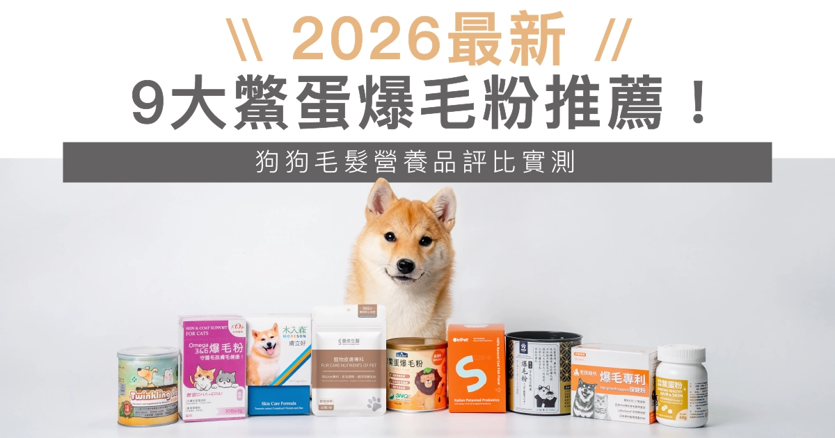 【2026最完整】9大鱉蛋爆毛粉推薦，狗狗毛髮營養品評比實測！