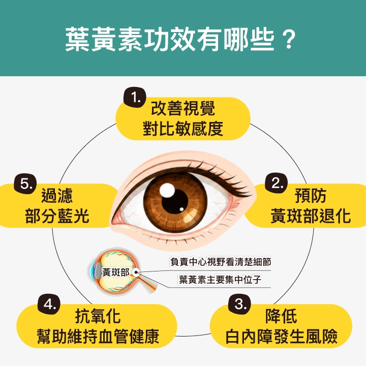 葉黃素功效有哪些？