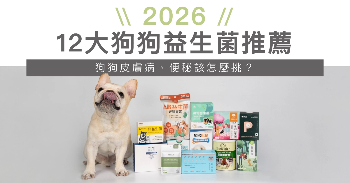 【2026最新】12大狗狗益生菌推薦！狗狗皮膚病、便秘該怎麼挑？